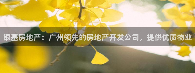 万向娱乐