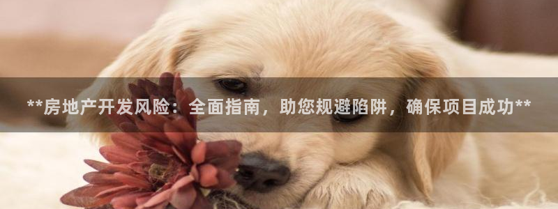 万向娱乐app下载苹果版
