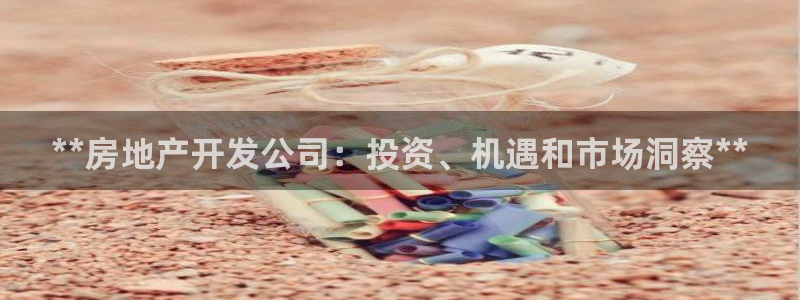万向娱乐平台代理多少钱一年