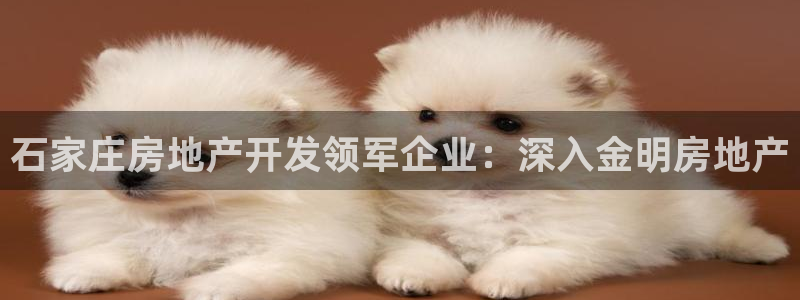 万向娱乐的注册登录是什么