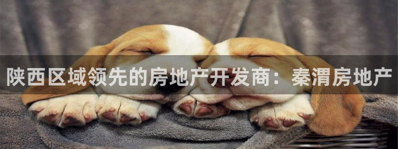 万向娱乐官网下载安装最新版