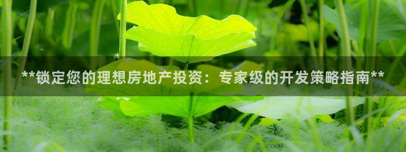 万向娱乐平台注册流程图