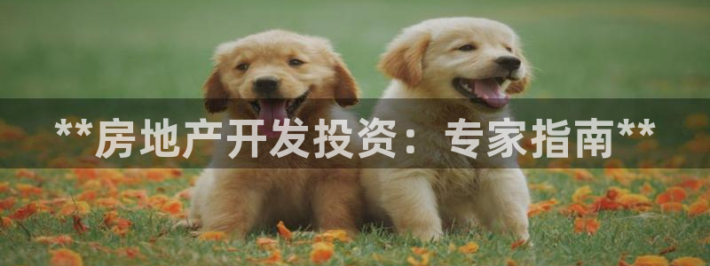 万向娱乐平台注册条件