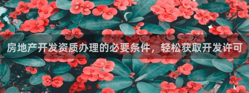 万象游戏代理