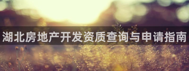 万向娱乐平台招商骗局
