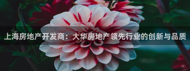 万向娱乐登陆官网