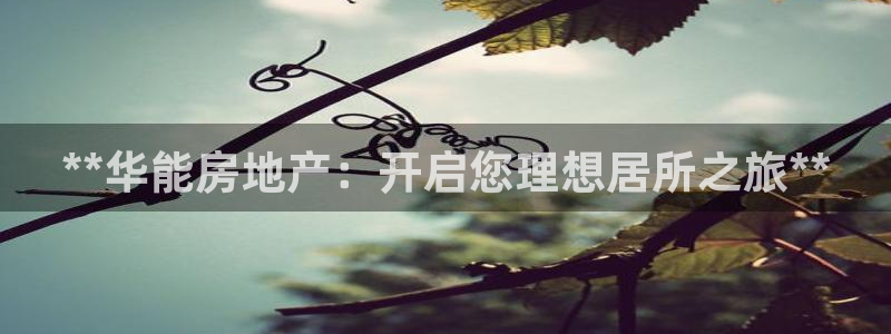 万向娱乐官网网址大全