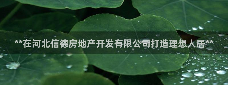 万象国际娱乐网址