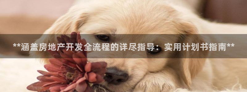 万向娱乐平台代理怎么做赚钱