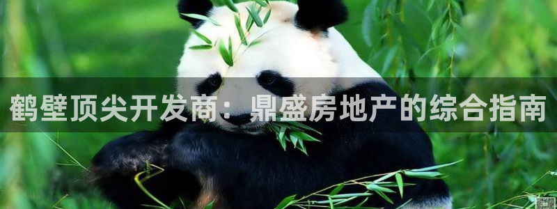万向娱乐app下载官网