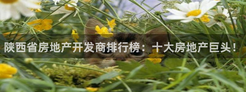 万向娱乐注册主管是谁