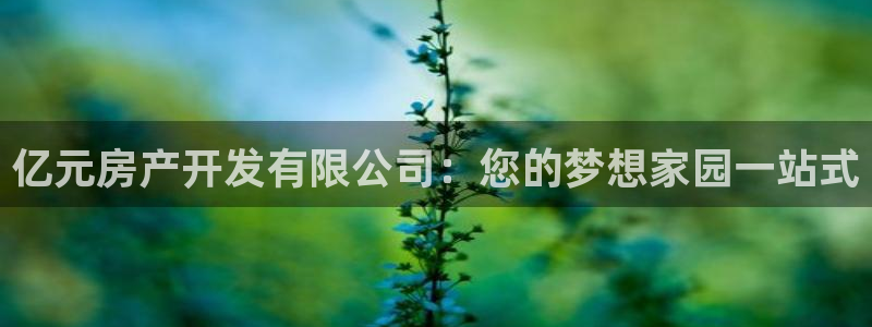 万向娱乐app下载官网