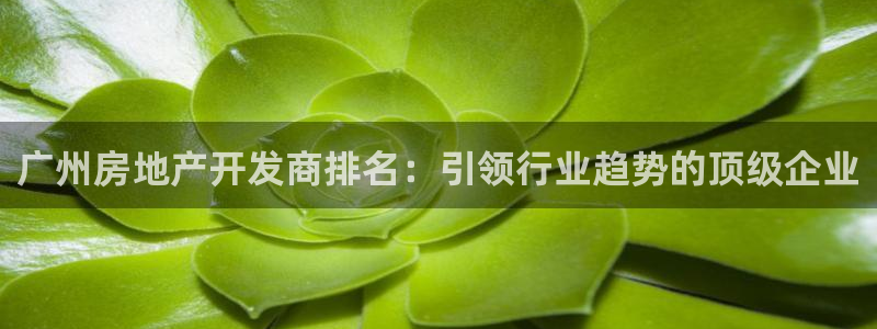万向娱乐平台招商骗局