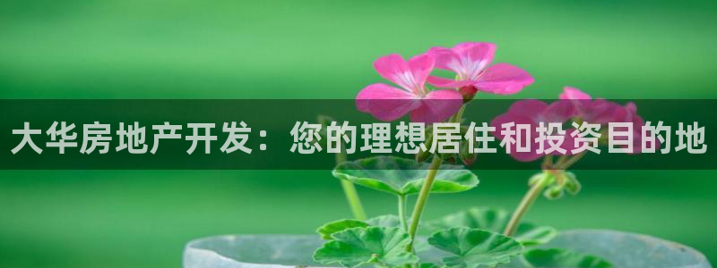 万向娱乐平台代理怎么做
