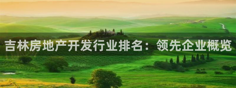 万向娱乐