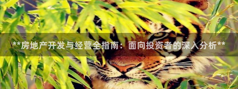 万向娱乐注册主管