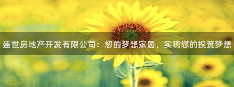 万向娱乐王者荣耀