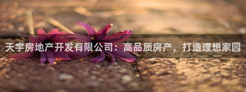 万向娱乐是哪个旗下