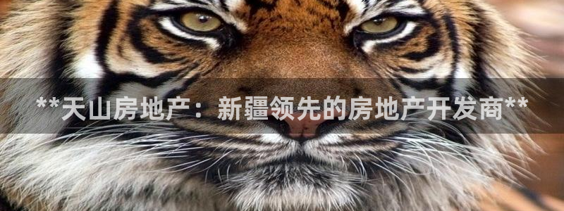 万向娱乐平台代理怎么样啊