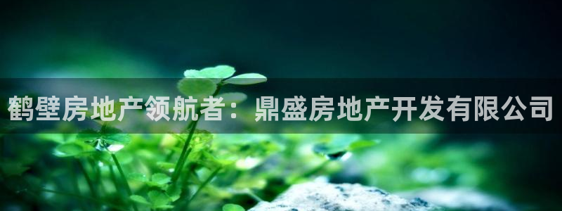 万向娱乐平台代理怎么样