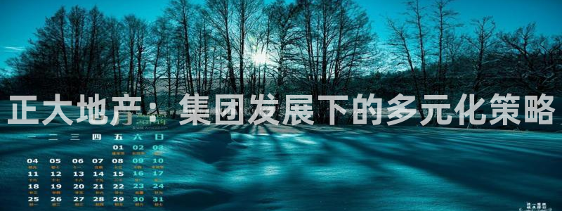 万向娱乐公司 585.34I 娱乐