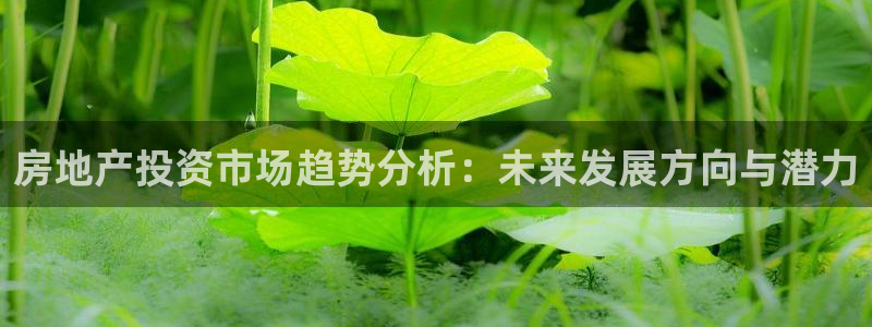 万向娱乐的联系方式有哪些