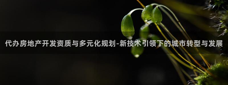 万向娱乐的联系方式