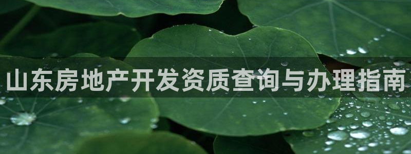 万向娱乐的494o3 主管