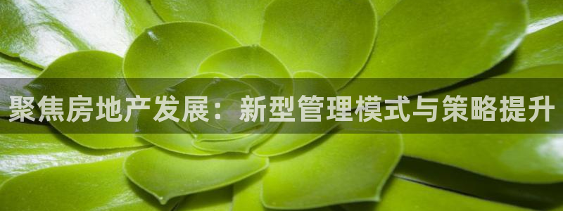 万向娱乐app下载官网