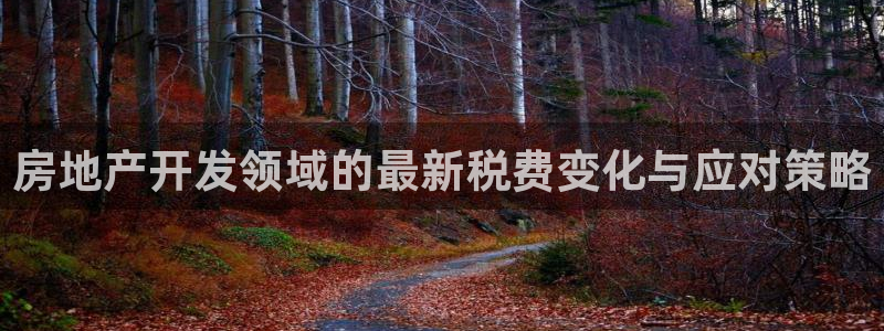 万向娱乐总代
