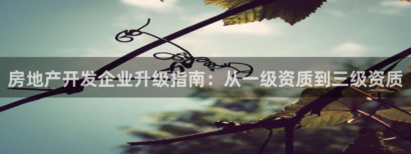 万向娱乐平台代理多少钱一个
