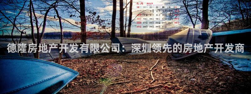 万向娱乐技术