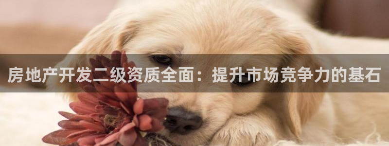 万向娱乐招商