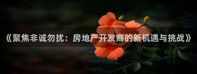 万向娱乐官网网址是什么