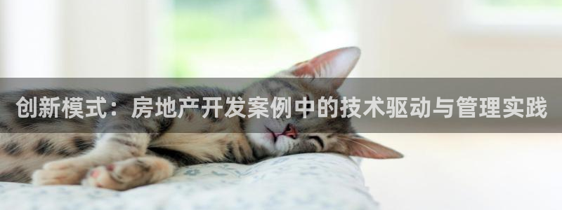 万向娱乐是哪个旗下