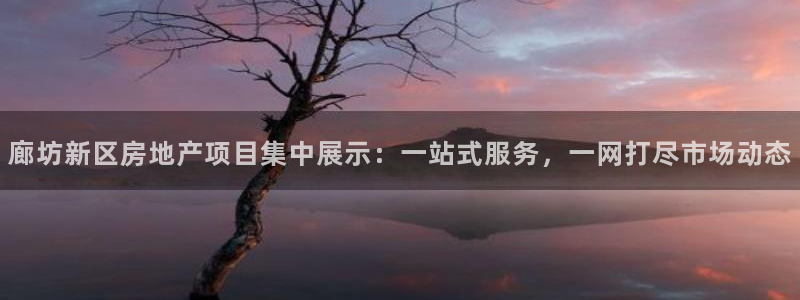 万向娱乐平台代理多少钱一个月