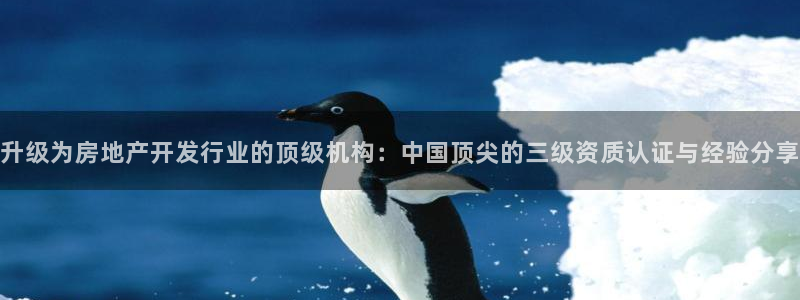 万向娱乐平台代理怎么做
