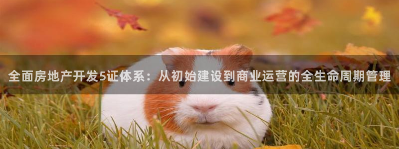 万向娱乐是野鸡台吗