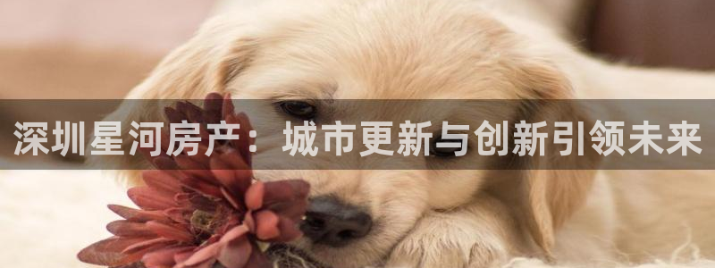 万向娱乐注册登录不上去