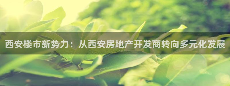 万向娱乐平台代理怎么样啊