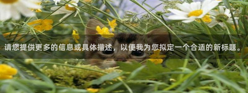 万向娱乐官网首页