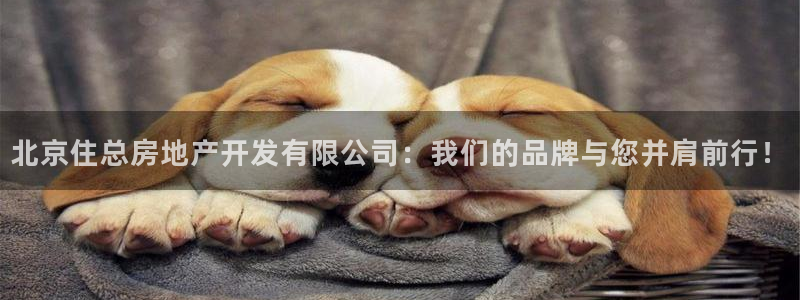 万向娱乐公司 585.34I 娱乐