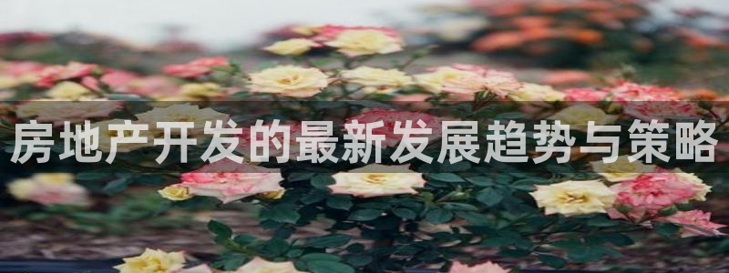 万向娱乐是野鸡台吗