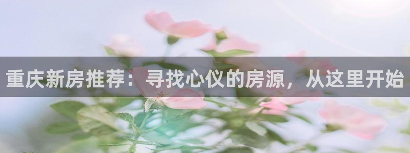 万向娱乐app下载安装