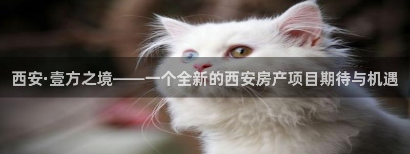 万向娱乐平台怎么下载