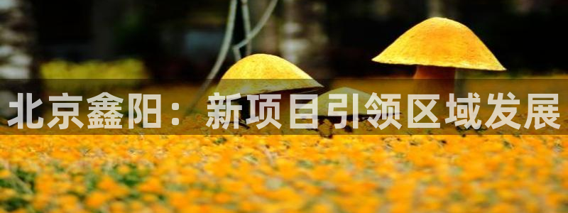 万向娱乐是野鸡台吗