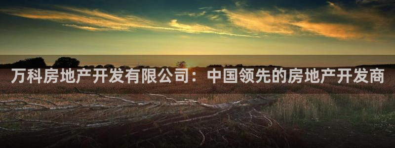 万向娱乐平台代理多少钱一个月