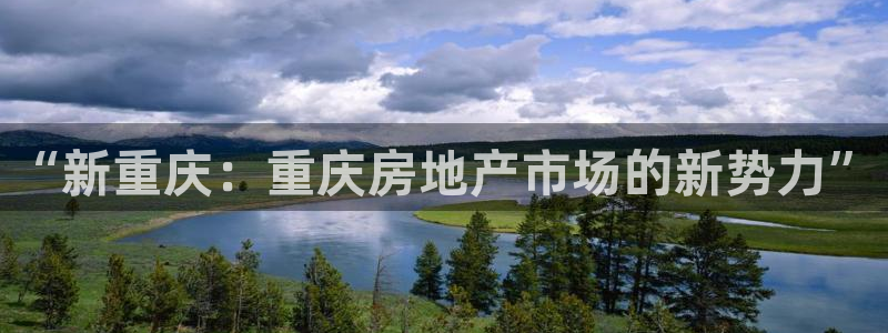 万向娱乐网址是什么