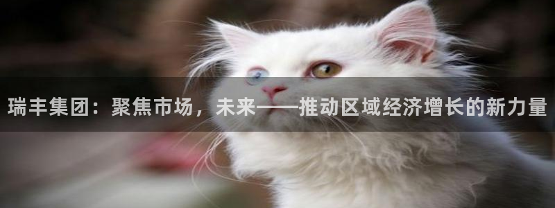 万向娱乐官网下载安装