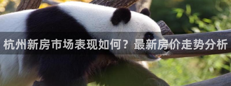 万向娱乐官网下载安装最新版